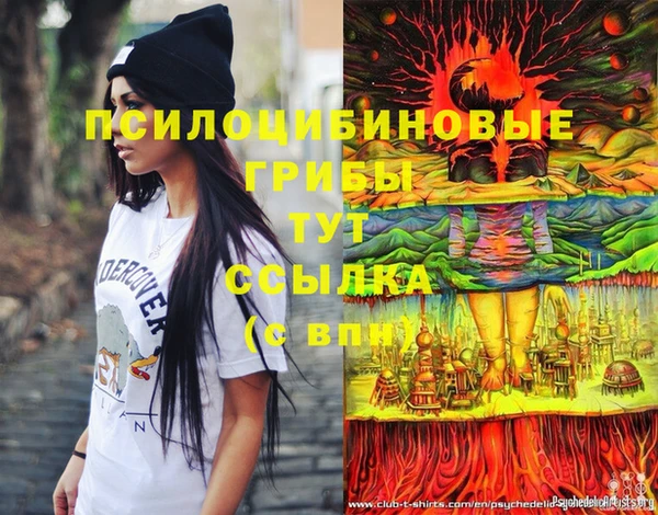 прущие крисы Алексин