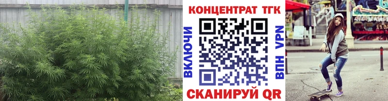 Дистиллят ТГК гашишное масло  KRAKEN зеркало  Кола 